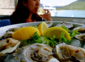 ston-oysters-dubrovnik-private-tours